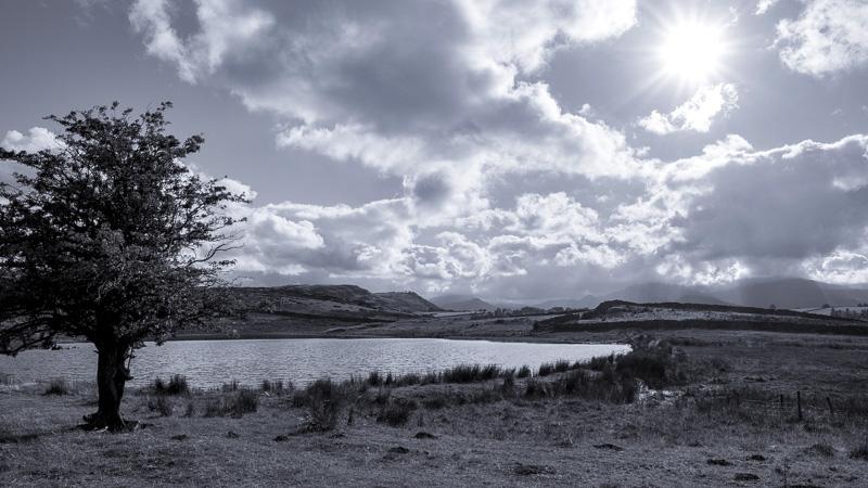 Tewet Tarn
